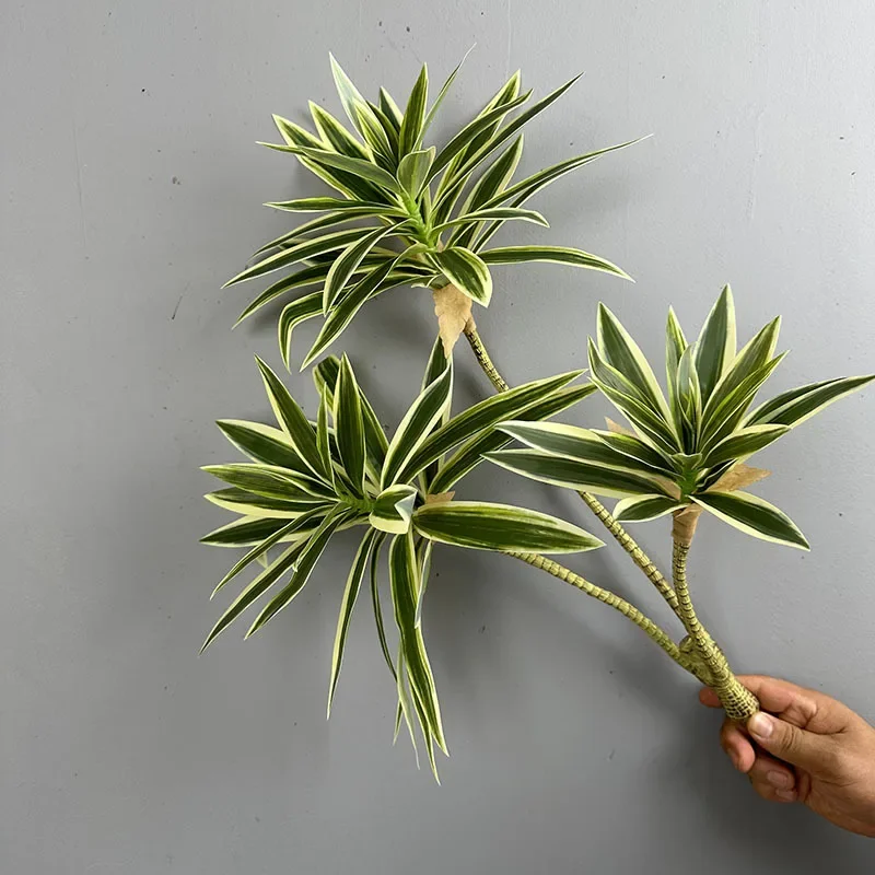 พืชสีเขียวประดิษฐ์ Tropical Li - Dracaena Marginata บทวิจารณ์และราคา