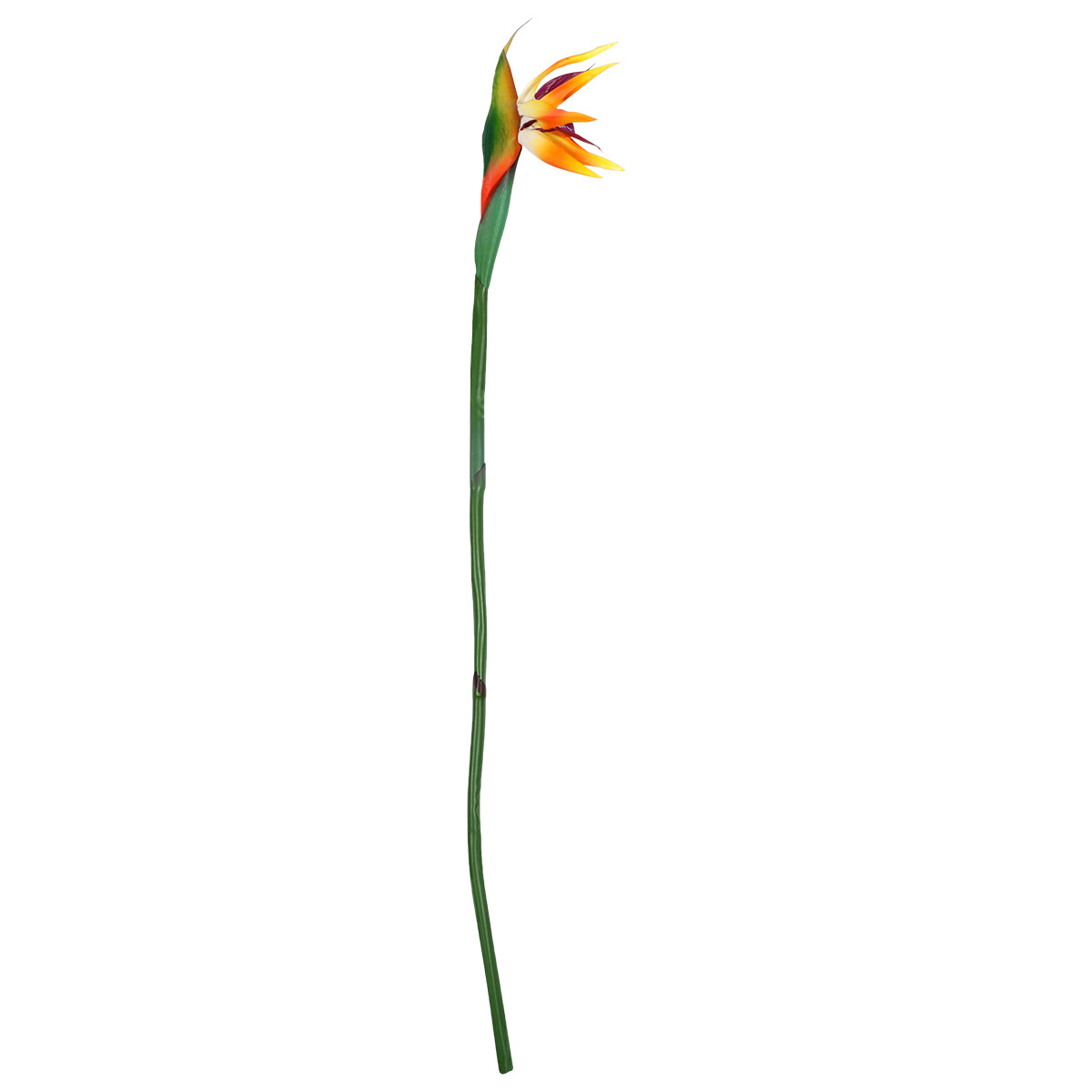 ดอกไม้ประดิษฐ์สเตรลิเซีย (Bird - Bird Paradise Strelitzia บทวิจารณ์และราคา
