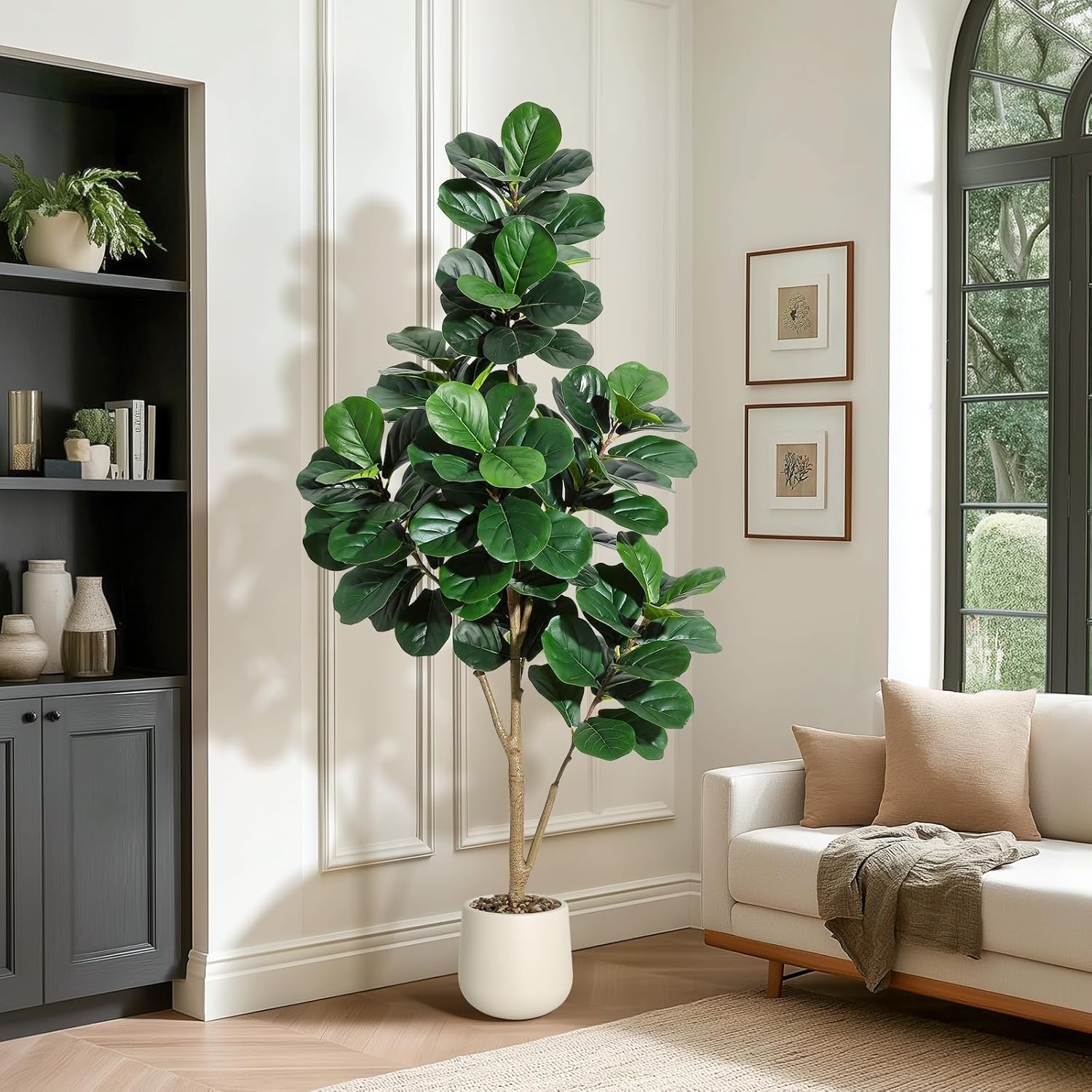 ต้นไม้ปลอมแบบใบฟิคัส ลิราต้า ข - Dracaena Marginata บทวิจารณ์และราคา