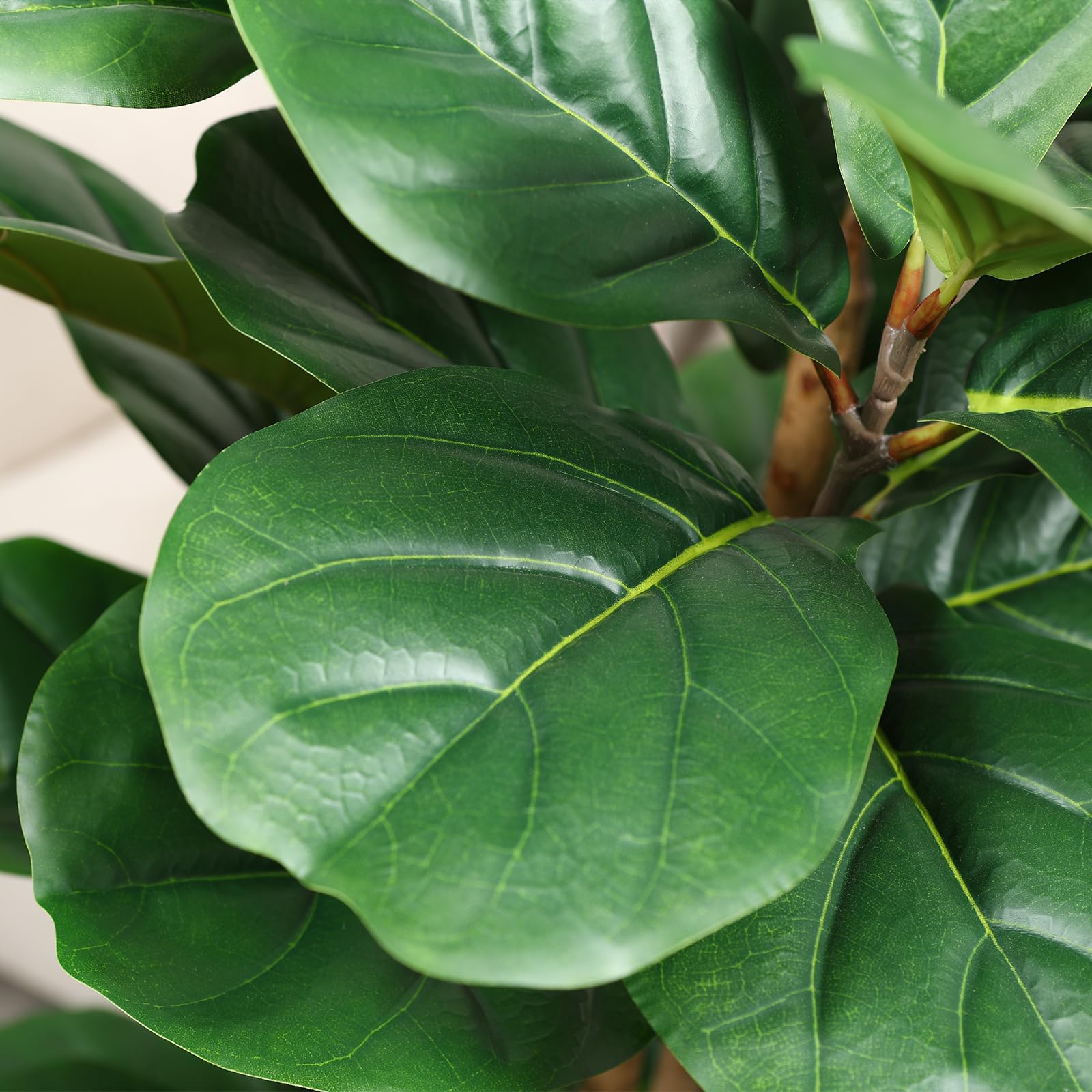 ต้นไม้ฟิกเลฟฟิลด์ประดิษฐ์ พร้อ - Ficus Lyrata Tree บทวิจารณ์และราคา