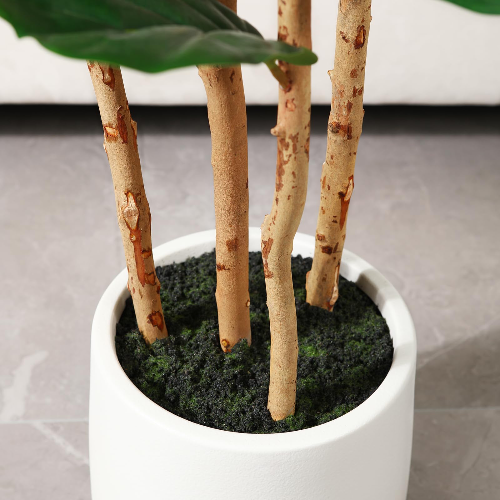 ต้นไม้ฟิกเลฟฟิลด์ประดิษฐ์ พร้อ - Ficus Lyrata Tree บทวิจารณ์และราคา