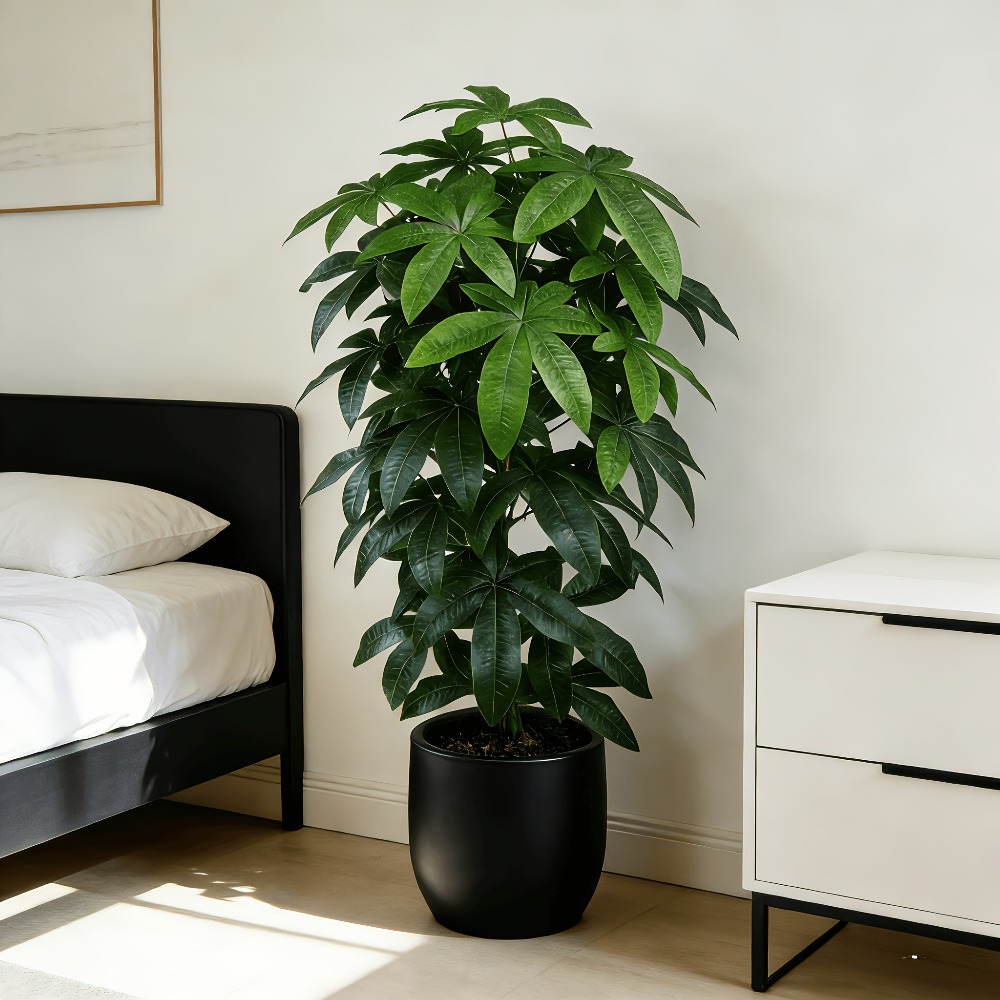 ต้นไม้เงินประดิษฐ์พัชรีรา อควา - Monstera Adansonii บทวิจารณ์และราคา